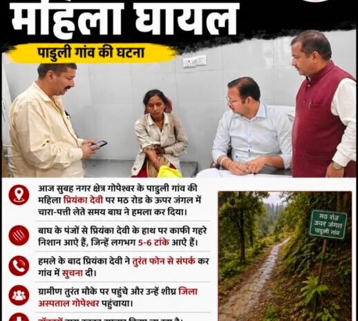  गोपेश्वर के पाडुली गांव में बाघ का हमला, महिला घायल